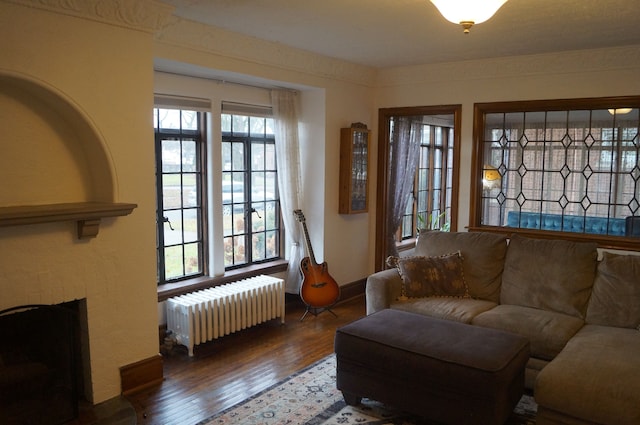 living room with hardwood / wood-style floors and radiator