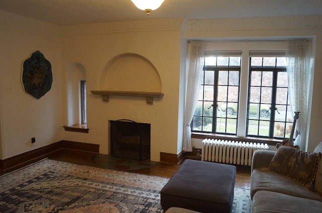 living room featuring radiator heating unit and wood-type flooring