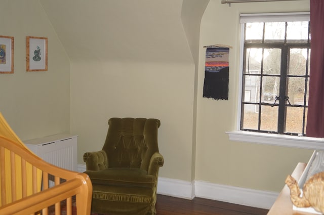 bedroom featuring multiple windows, dark hardwood / wood-style flooring, and a nursery area