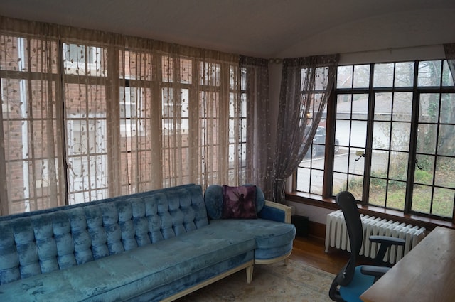 interior space featuring radiator heating unit and vaulted ceiling