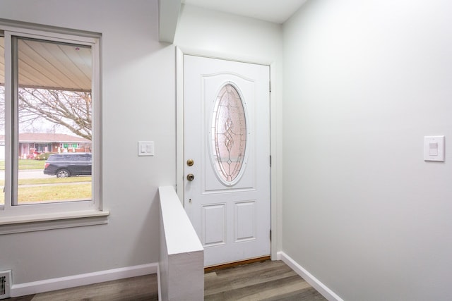 foyer entrance with wood-type flooring and a healthy amount of sunlight