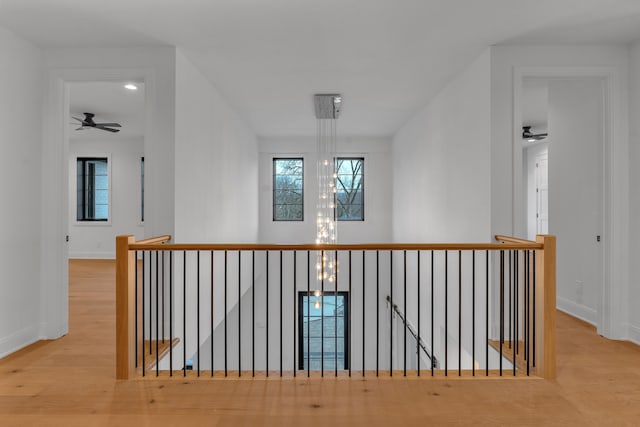 corridor with a chandelier and light hardwood / wood-style floors