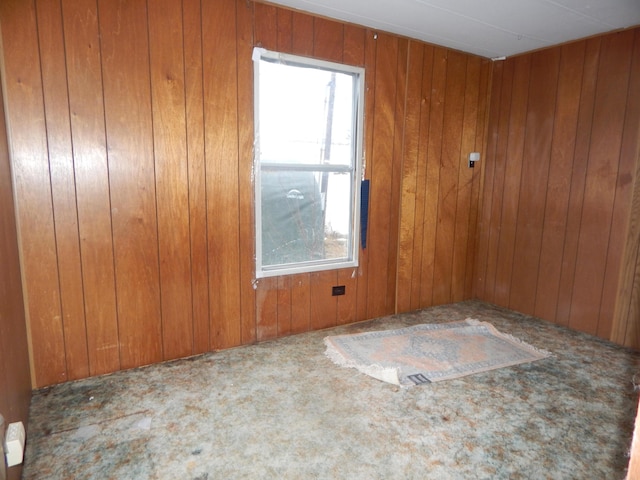 spare room with a wealth of natural light and wood walls