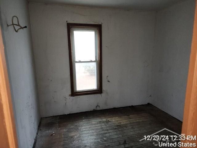 empty room with a wealth of natural light and dark wood-type flooring