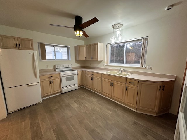 kitchen with light brown cabinetry, sink, hanging light fixtures, dark hardwood / wood-style flooring, and white appliances