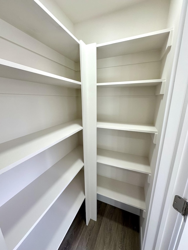 2011 Green Acres Dr, Adrian, MI 49221 - view of pantry