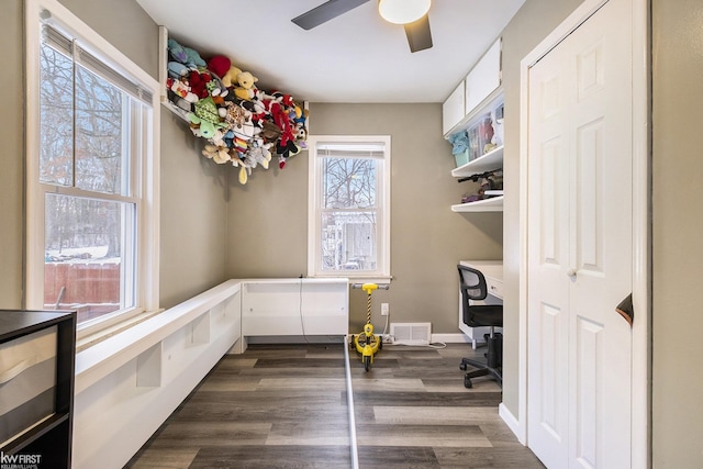 unfurnished office featuring ceiling fan and dark hardwood / wood-style floors