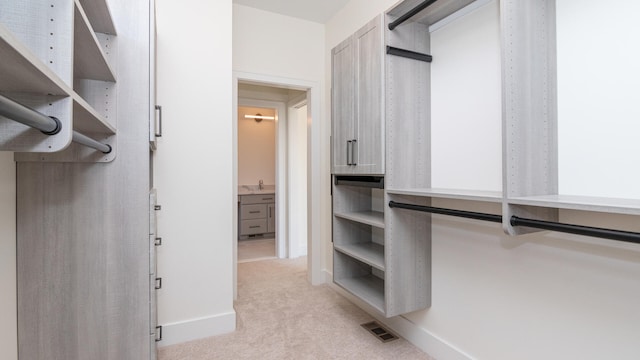332 Arbor Ln, Saline, MI 48176 - spacious closet with a sink and light colored carpet