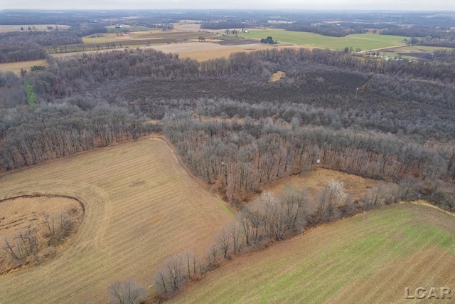 drone / aerial view featuring a rural view