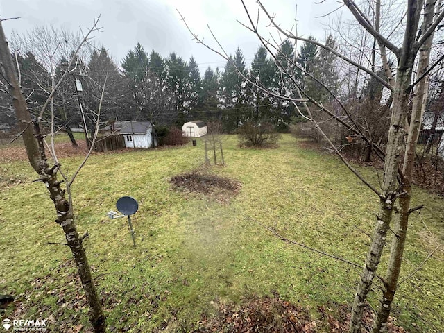 view of yard with a storage shed