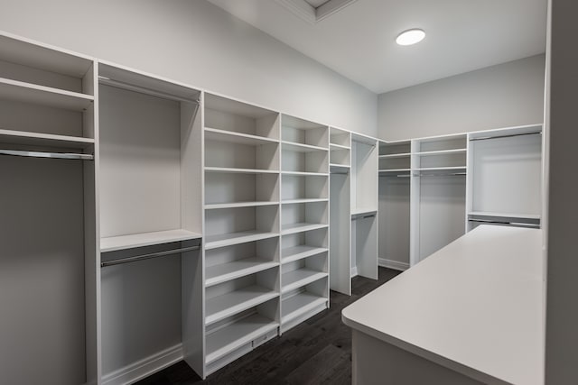 4380 The Heights Blvd, Rochester, MI 48306 - walk in closet with dark hardwood / wood-style floors