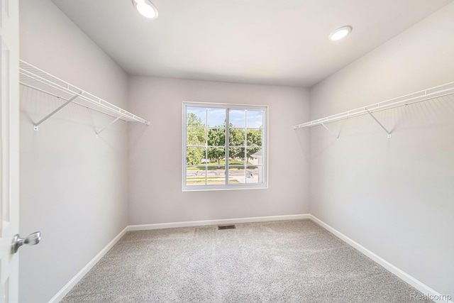 172 Woodland Way, Manchester, MI 48158 - walk in closet featuring carpet floors