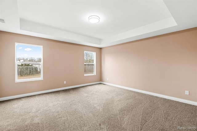 spare room with a raised ceiling, plenty of natural light, and carpet floors