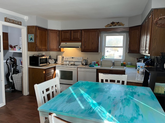 kitchen featuring dark hardwood / wood-style floors, dark brown cabinetry, white appliances, and sink