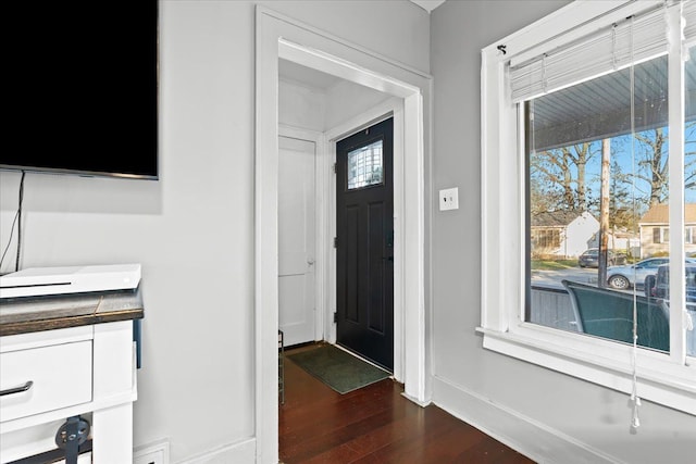 entrance foyer with plenty of natural light and dark wood-type flooring