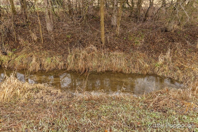 1193 N State Rd, Ionia, MI 48846 - property view of water