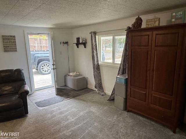 interior space featuring carpet flooring