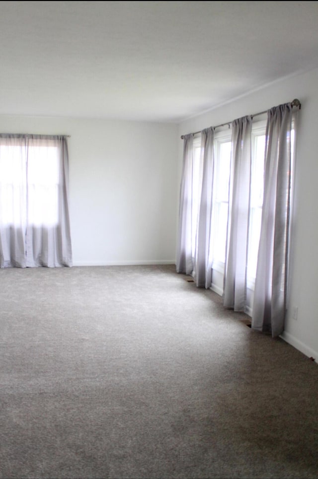 spare room with carpet floors