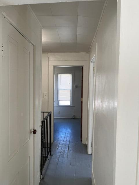 corridor with ornamental molding and dark wood-type flooring