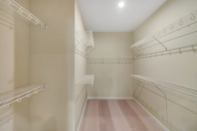 spacious closet with carpet flooring