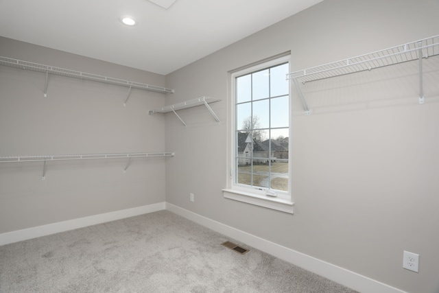 spacious closet featuring carpet flooring and visible vents