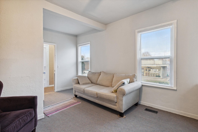 carpeted living room with plenty of natural light