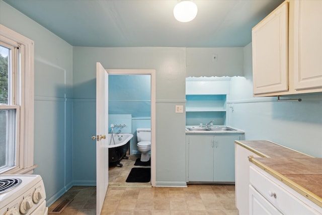 bathroom featuring toilet, sink, and a washtub