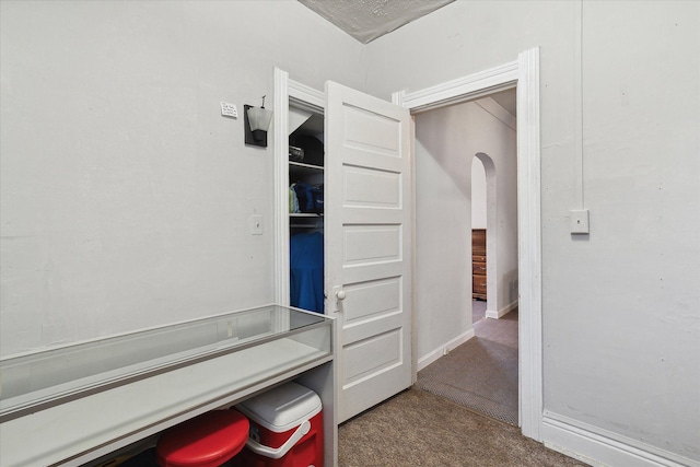 spacious closet featuring carpet floors