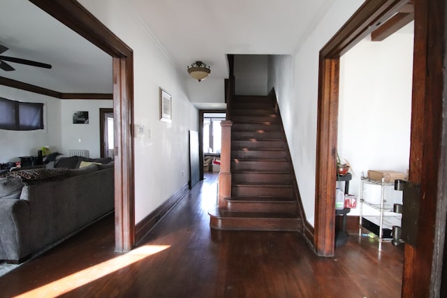 stairs with hardwood / wood-style floors and ceiling fan