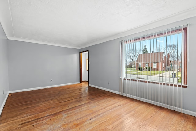 spare room with hardwood / wood-style flooring and plenty of natural light