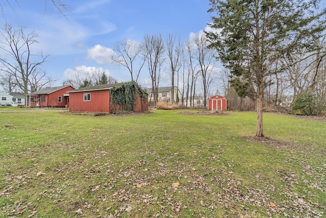 view of yard featuring a shed