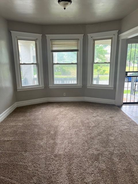 spare room with carpet floors