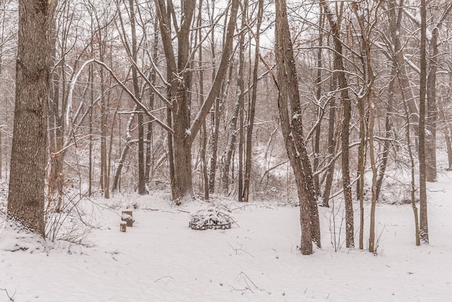 view of snowy landscape