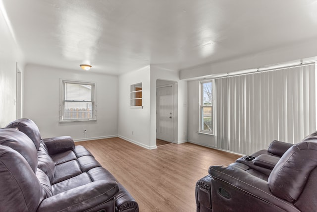 living room featuring light hardwood / wood-style flooring