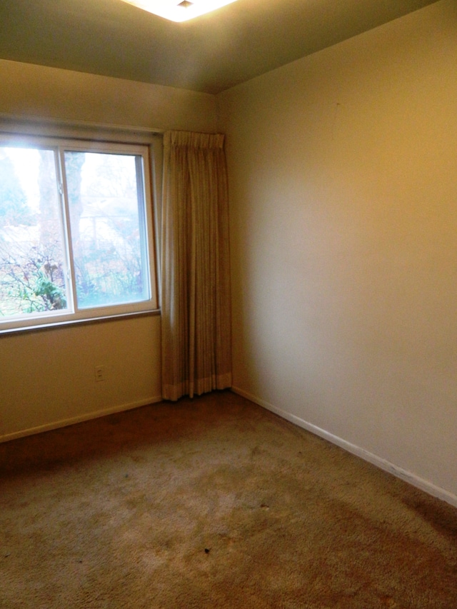 spare room featuring carpet flooring