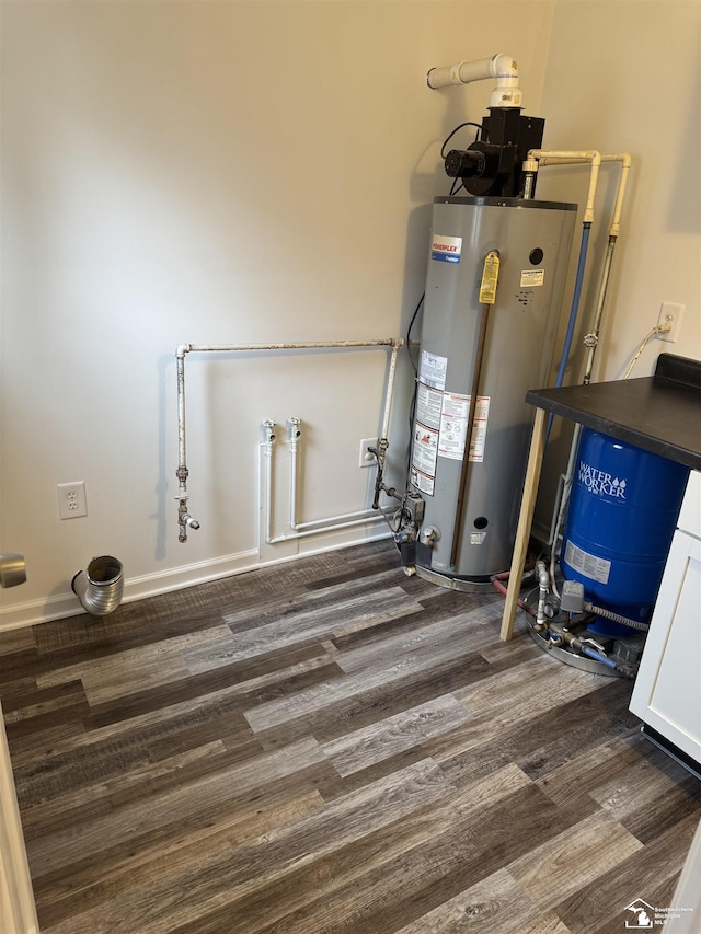 utility room with gas water heater