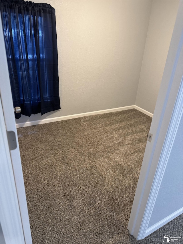 spare room with carpet