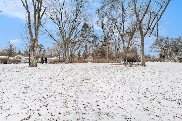 view of snowy yard