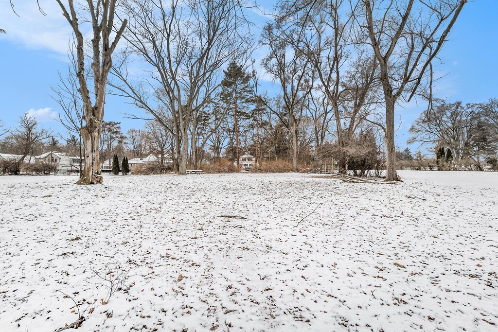 view of yard covered in snow