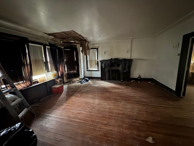 miscellaneous room featuring hardwood / wood-style flooring