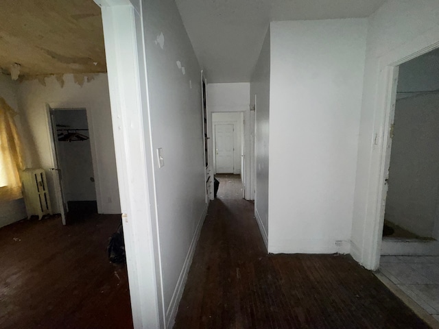 corridor featuring radiator heating unit and dark hardwood / wood-style floors