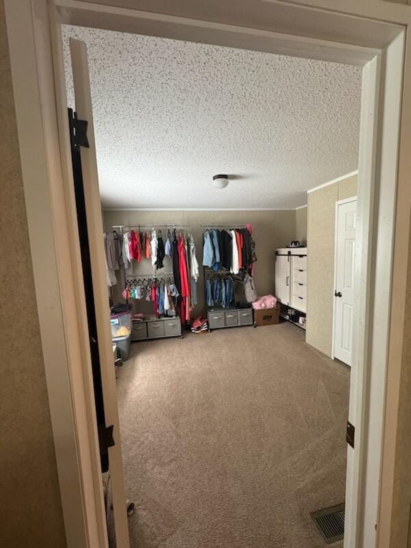 walk in closet with carpet