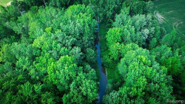 0 Kinney Rd, Memphis, MI 48041 - photo 2