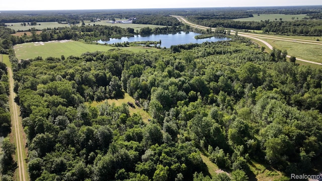 0 Kinney Rd, Memphis, MI 48041 - photo 13