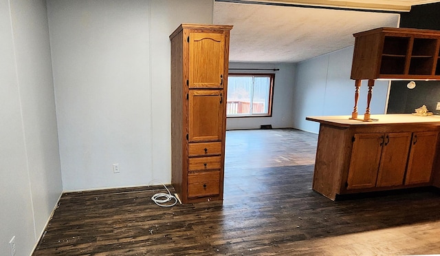 kitchen with dark hardwood / wood-style flooring and kitchen peninsula