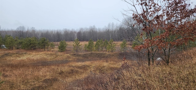 view of local wilderness