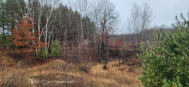 view of local wilderness