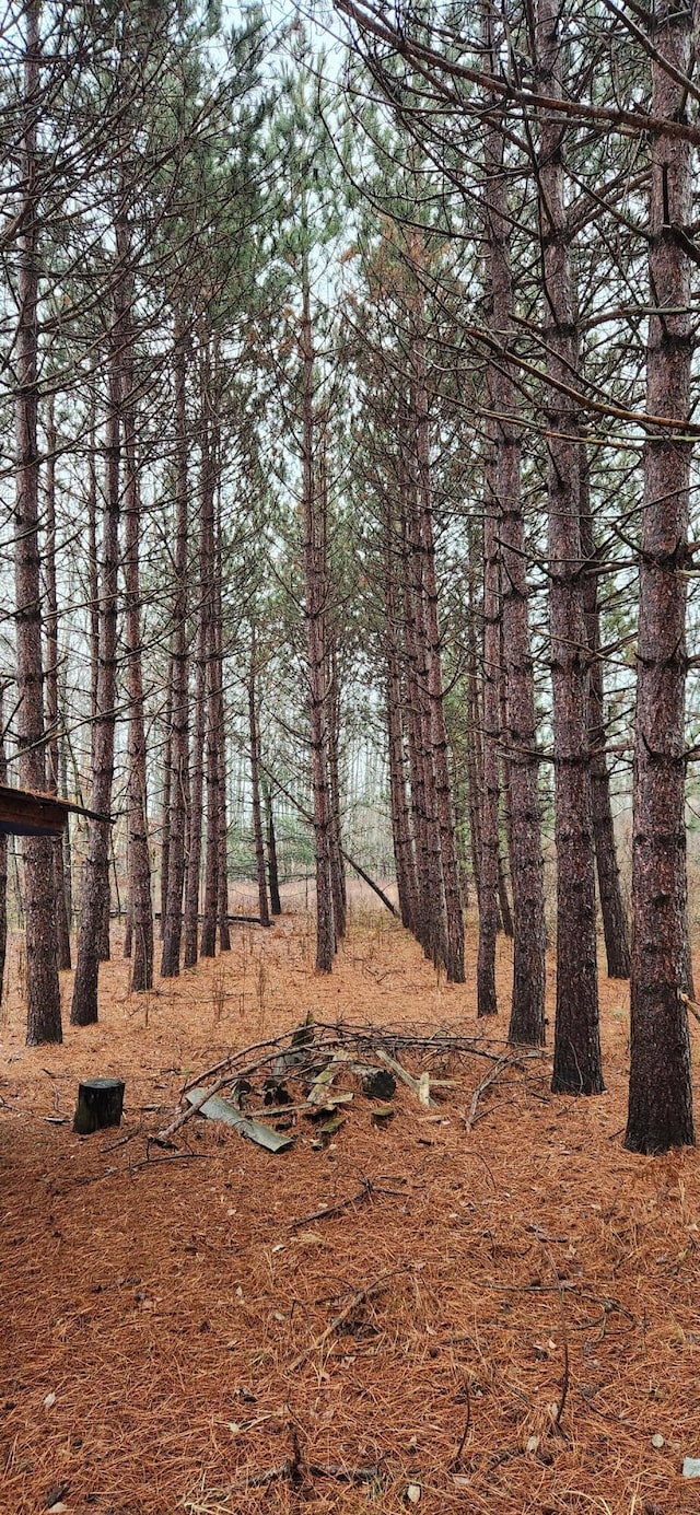 view of landscape