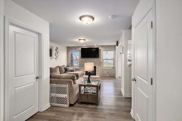 living room featuring dark wood-type flooring