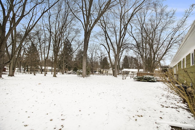 view of snowy yard